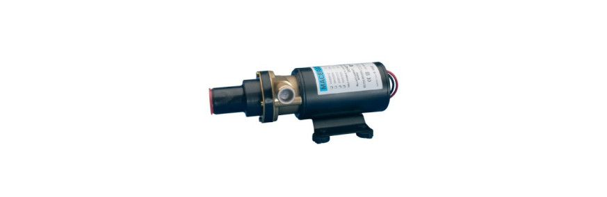 Macerator Pump